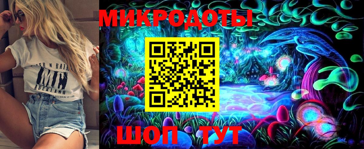 Галлюциногенные грибы Psilocybe  Вход с VPN  Хасавюрт 
